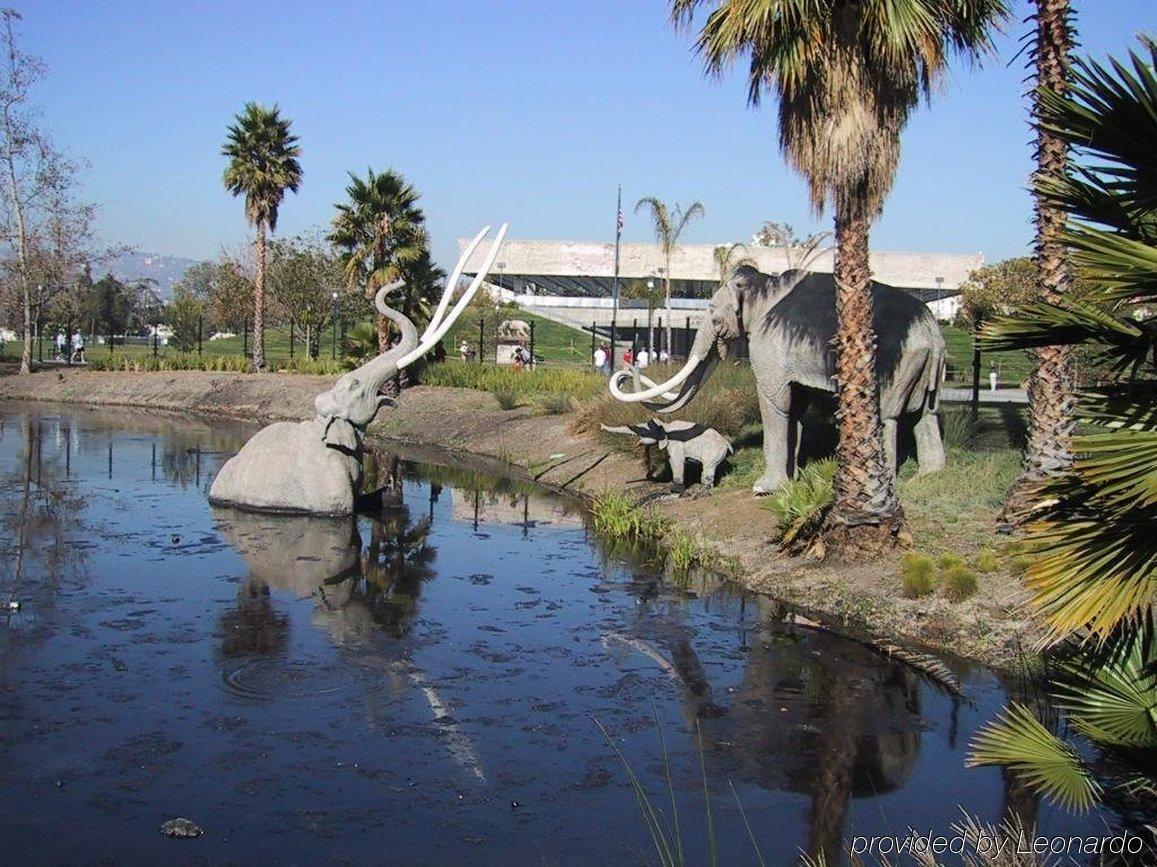 Express West Angeles By Ihg 3*
